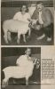 CHx-1995 Cobden Fair Sheep champions - Susie & Brady Laska CHx-1995 Cobden Fair Sheep champions - Susie & Brady Laska