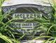 Gravestone-McLeese, William James Gravestone-McLeese, William James