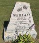 Gravestone-Whillans, Donald & Lois nee McInerney Gravestone-Whillans, Donald & Lois nee McInerney