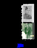 Coleman, Lt. George Richard Kitchener military service summary Coleman, Lt. George Richard Kitchener military service summary