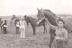 ORG-COBDEN AGRICULTURAL SOCIETY & FAIR, 1971 Horse competition