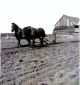 Johnson, George plowing behind the barn Johnson, George plowing behind the barn
